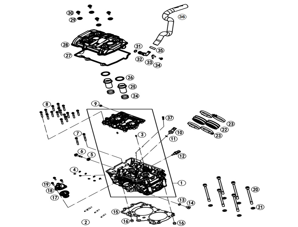 V4dcJtTGre_E02-1 (2).jpg
